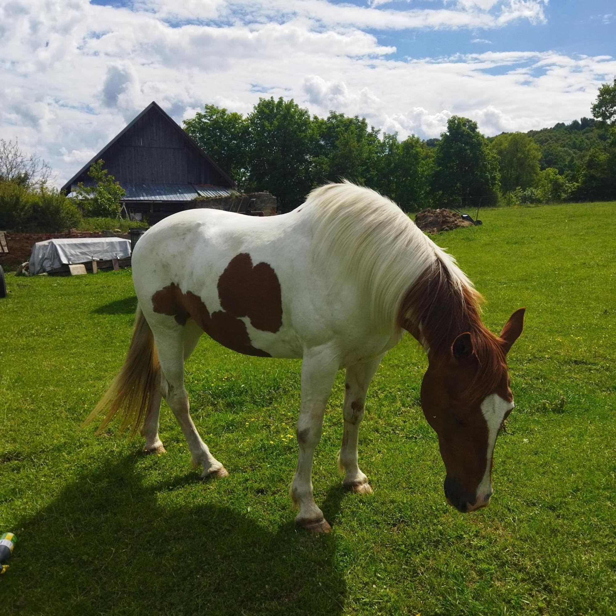 Ubytování Na statku Stara Cervena Voda Exterior foto